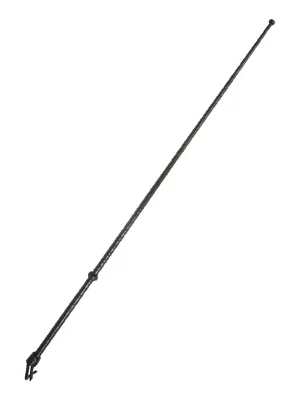 Black Twisted Leather Cane