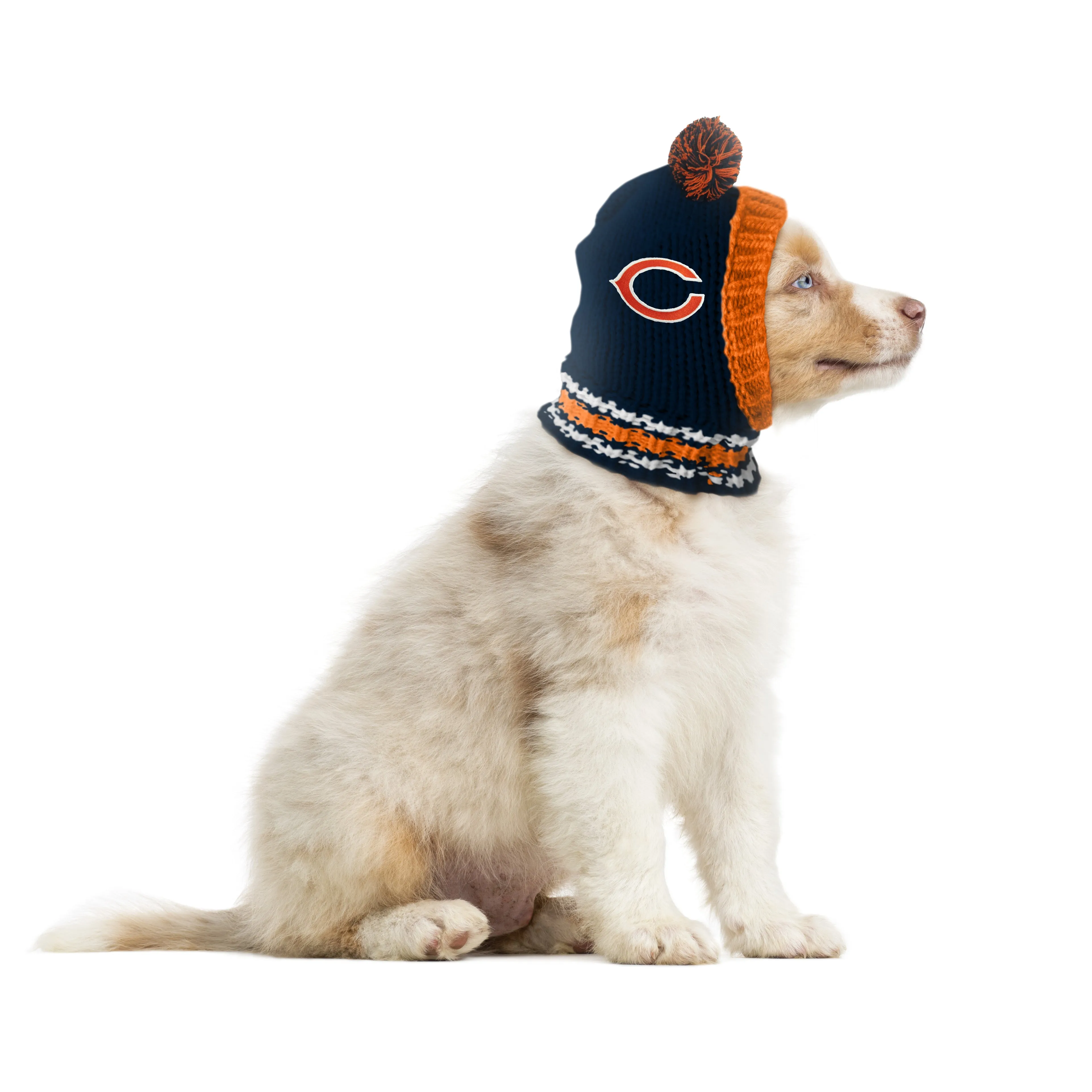 Chicago Bears Team Pet Knit Hat