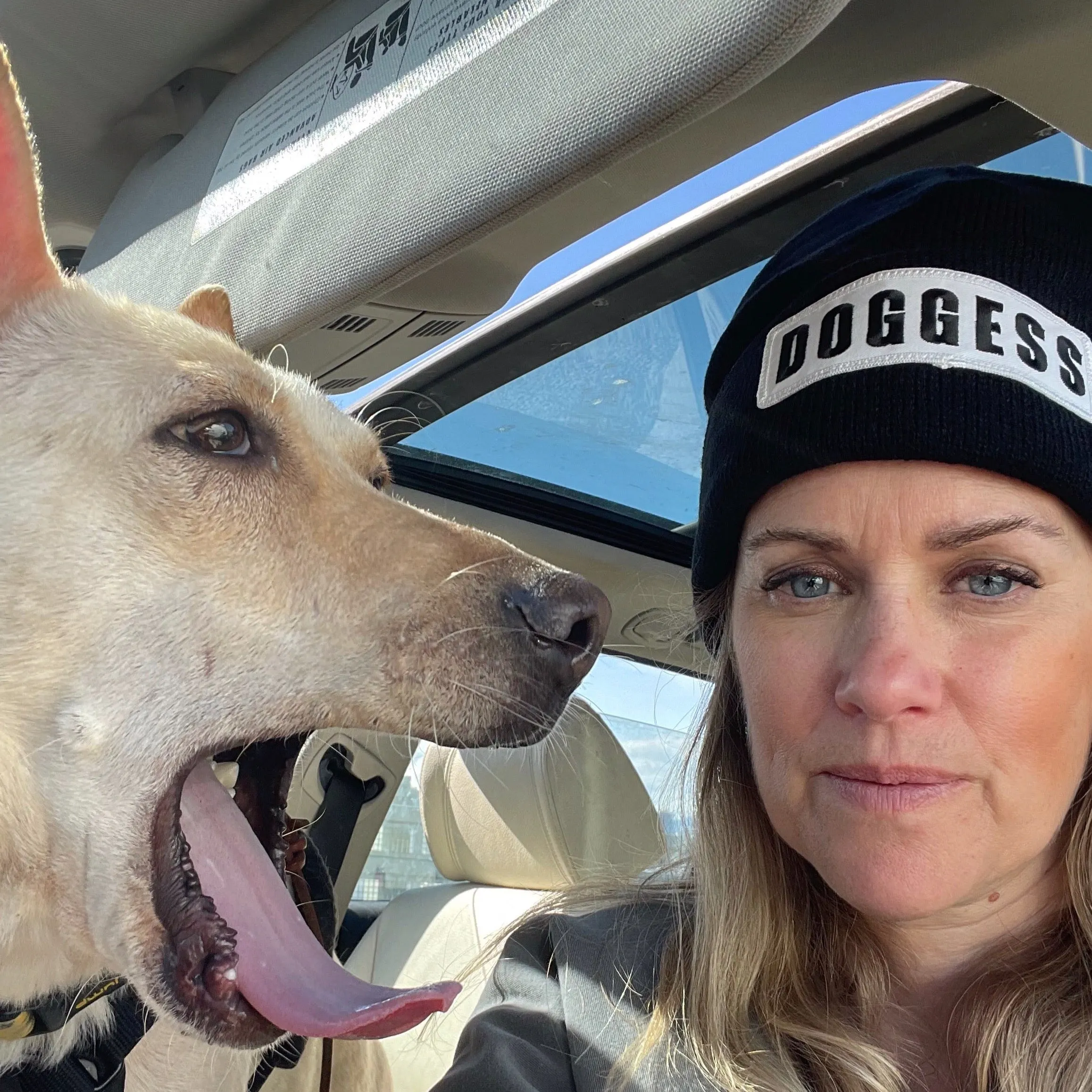 Doggess Toque blk w/ wht